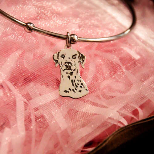 Dalmata