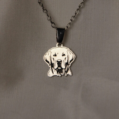 Labrador miele